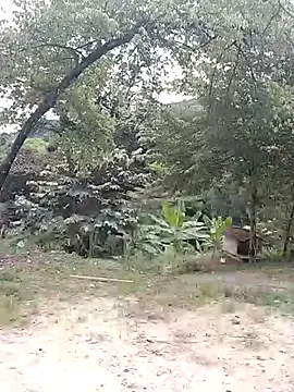 Snapshot of andreu_mature chatting on February 21, 2026, 4:20 pm andreu mature online show from February 21, 2026, 4:20 pm