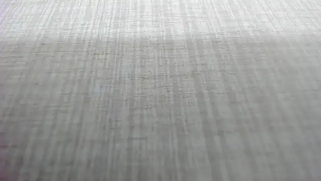 Snapshot of AishaRouhi chatting on March 4, 2026, 5:15 am AishaRouhi online show from March 4, 2026, 5:15 am