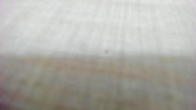 Snapshot of AishaRouhi chatting on February 14, 2026, 5:29 am AishaRouhi online show from February 14, 2026, 5:29 am