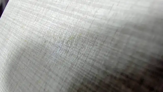 AishaRouhi online show from April 11, 2026, 3:58 am