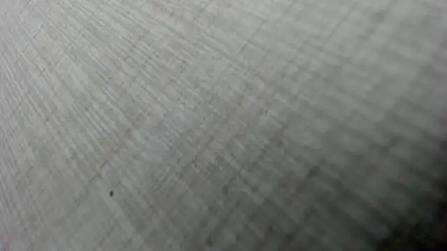 Snapshot of AishaRouhi chatting on February 3, 2026, 5:05 am AishaRouhi online show from February 3, 2026, 5:05 am