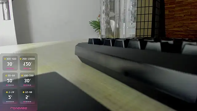 AishaRouhi online show from October 19, 2025, 3:53 am