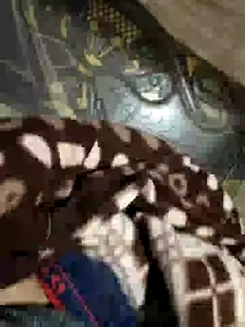 cumshotboy01 online show from December 9, 2024, 5:19 pm