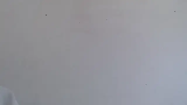 Niurca01  online show from October 16, 2025, 4:48 pm