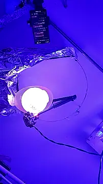 gurlnips online show from September 26, 2025, 10:00 am