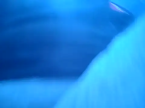 ILUV2TUCHMYKITTY online show from November 18, 2025, 6:55 pm