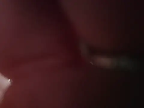 ILUV2TUCHMYKITTY online show from February 26, 2026, 2:50 pm