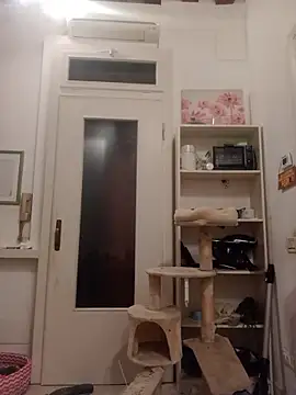 fattone95 online show from December 19, 2025, 8:55 pm