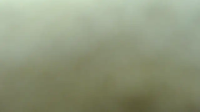 lakeeza online show from November 8, 2025, 6:00 pm