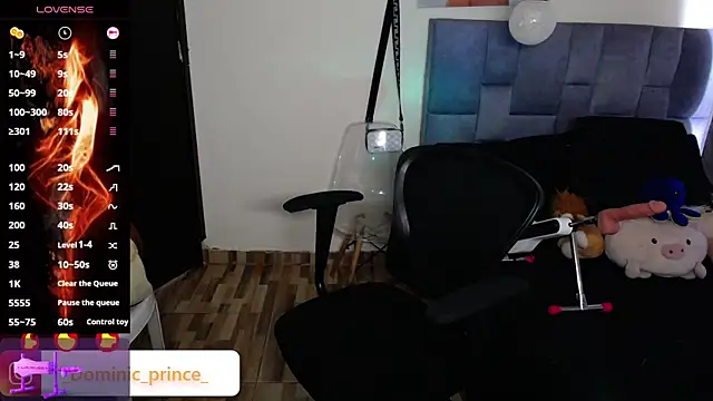 DominicPrince online show from November 24, 2025, 7:03 pm