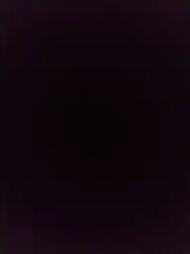 Meriozoro online show from April 11, 2026, 4:21 pm