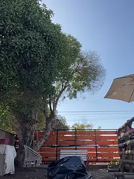 Andricastro online show from February 23, 2025, 1:42 pm