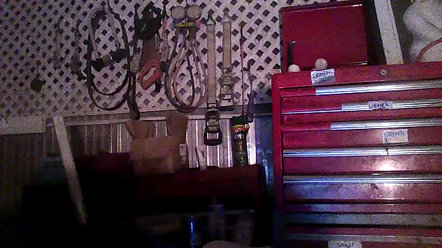 luke thighwalker2469 online show from February 11, 2026, 6:24 am