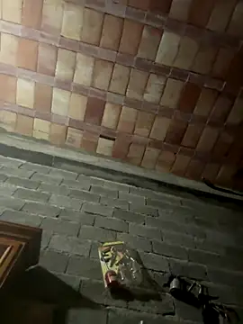 ros217 online show from January 5, 2026, 9:18 pm