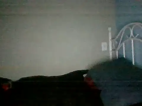 SmokingSloth online show from March 16, 2025, 8:21 am