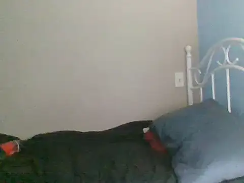 SmokingSloth online show from March 16, 2025, 2:10 am