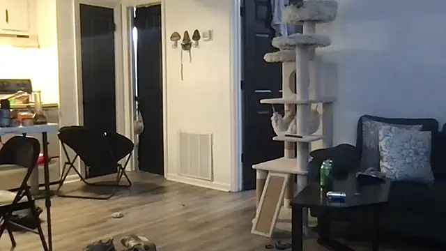 SpunCandy online show from October 1, 2025, 4:28 am