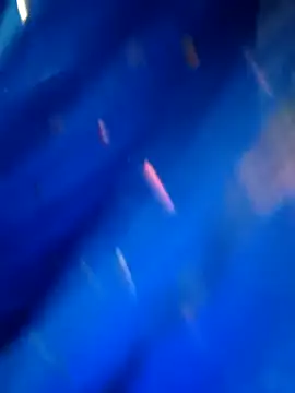 sneha rose online show from September 8, 2025, 5:12 pm