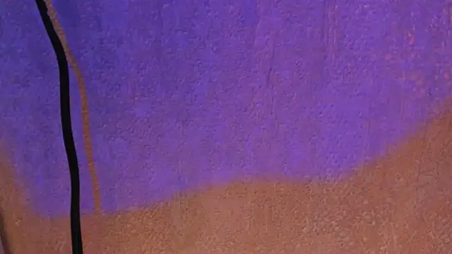 pink lia2 online show from December 13, 2024, 11:55 am