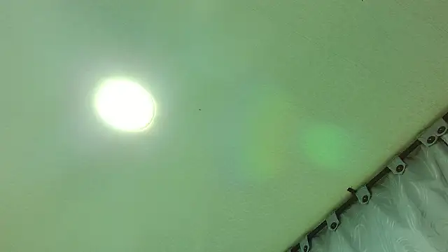 bellatrix25 online show from July 19, 2026, 6:33 am