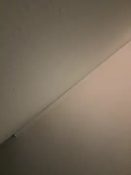 SexyHoneyRedd online show from December 28, 2024, 4:51 am