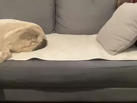 4small4inchlol online show from September 17, 2025, 9:00 am