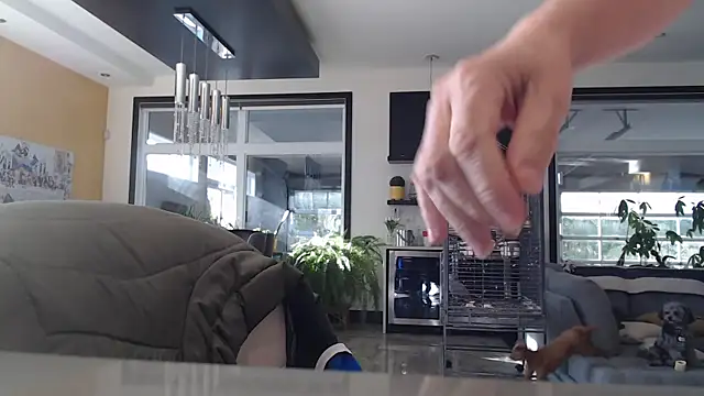 Toy-Daddy online show from November 6, 2025, 6:45 pm