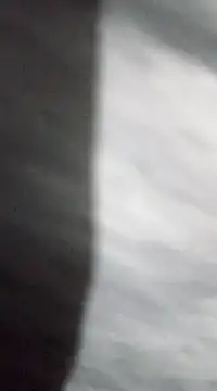 jaxyboys online show from January 15, 2025, 4:11 pm