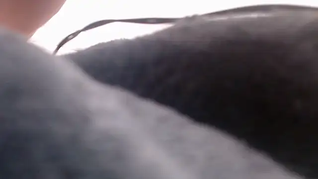 fk me good online show from December 16, 2025, 3:55 am