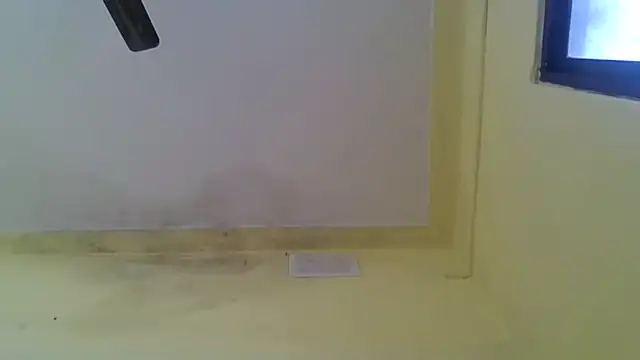 Snapshot of Nitya-Mahesh chatting on January 20, 2025, 9:24 am Nitya-Mahesh online show from January 20, 2025, 9:24 am