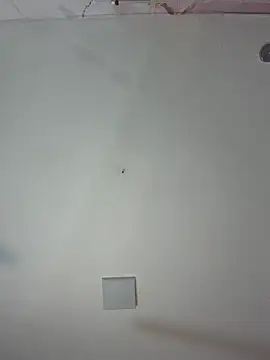 kiim taaylor online show from February 25, 2026, 11:32 am