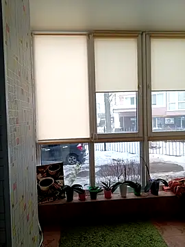 Annet1912 online show from February 25, 2026, 10:04 am