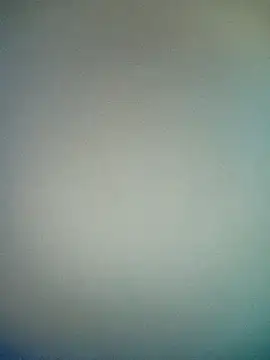 bustybillies online show from January 17, 2026, 5:16 pm