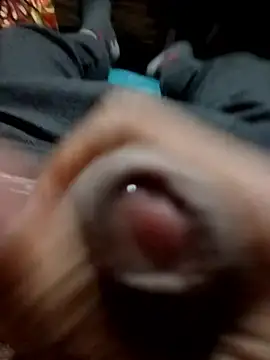 Dreamdaze2025 online show from January 8, 2026, 4:35 pm