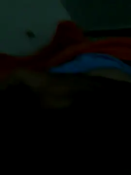 lm279 online show from November 28, 2025, 10:26 am