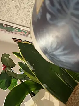 Snapshot of x-6-chouchou chatting on September 21, 2025, 3:11 am x-6-chouchou online show from September 21, 2025, 3:11 am