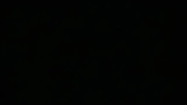 nethmisanjanaa online show from February 5, 2026, 1:51 pm