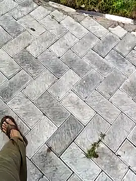 Snapshot of Ishan003 chatting on September 12, 2025, 1:39 am Ishan003 online show from September 12, 2025, 1:39 am