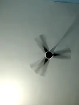 Snapshot of Ishan003 chatting on September 21, 2025, 12:49 am Ishan003 online show from September 21, 2025, 12:49 am