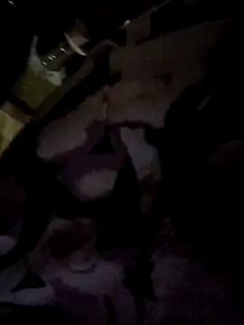 Babydoll 18 online show from March 20, 2025, 6:09 pm