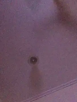 ty2003x33 online show from December 26, 2024, 4:04 pm