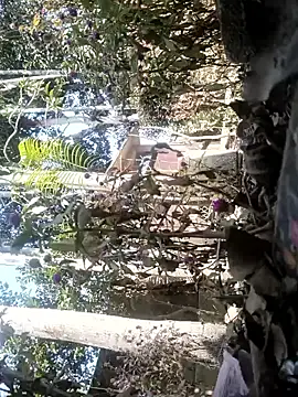 Snapshot of AssamSilchar93 chatting on February 7, 2026, 6:10 am AssamSilchar93 online show from February 7, 2026, 6:10 am