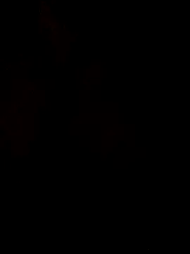 Snapshot of AssamSilchar93 chatting on February 24, 2026, 5:41 am AssamSilchar93 online show from February 24, 2026, 5:41 am