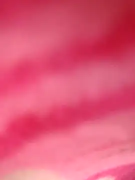 Natasha-In69 online show from January 4, 2025, 9:52 pm