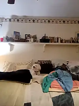 Snapshot of Hand69someguy chatting on October 4, 2025, 10:33 pm Hand69someguy online show from October 4, 2025, 10:33 pm