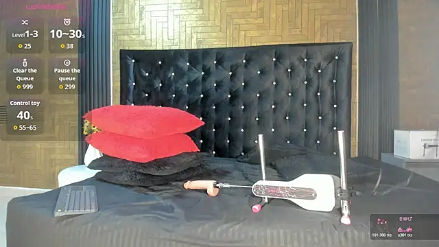 Laross25 online show from November 25, 2025, 8:09 pm