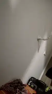 sids0 online show from January 27, 2025, 4:54 pm