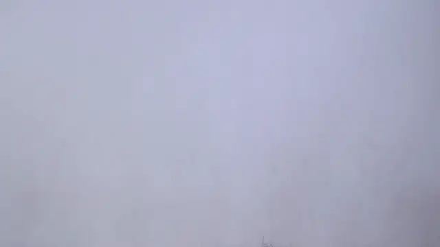 SusanLeroy online show from April 10, 2026, 11:28 am