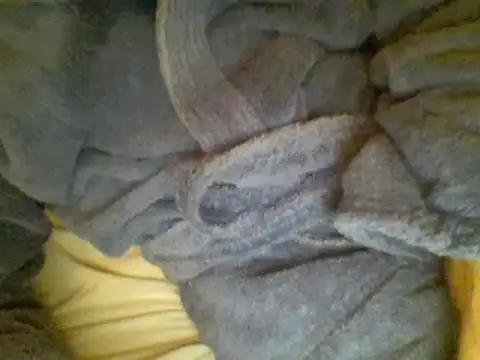 Snapshot of Ariete80s chatting on February 23, 2025, 6:56 pm Ariete80s online show from February 23, 2025, 6:56 pm