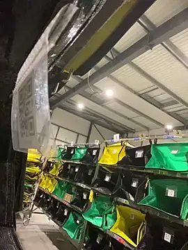 benben190 online show from March 12, 2025, 1:14 am